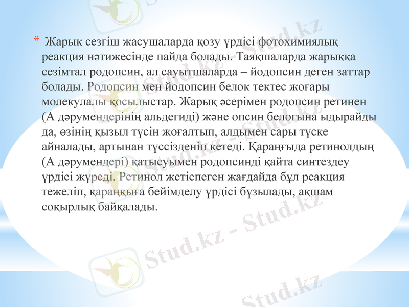 Slide 26