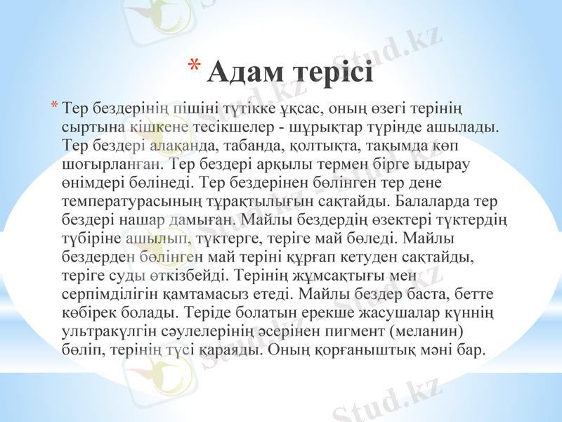Slide 28