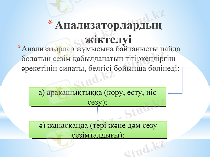 Slide 7