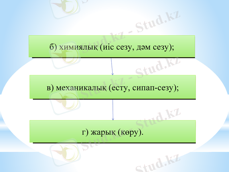 Slide 8