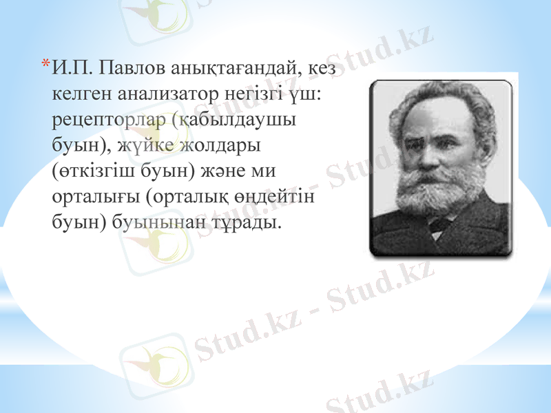 Slide 9