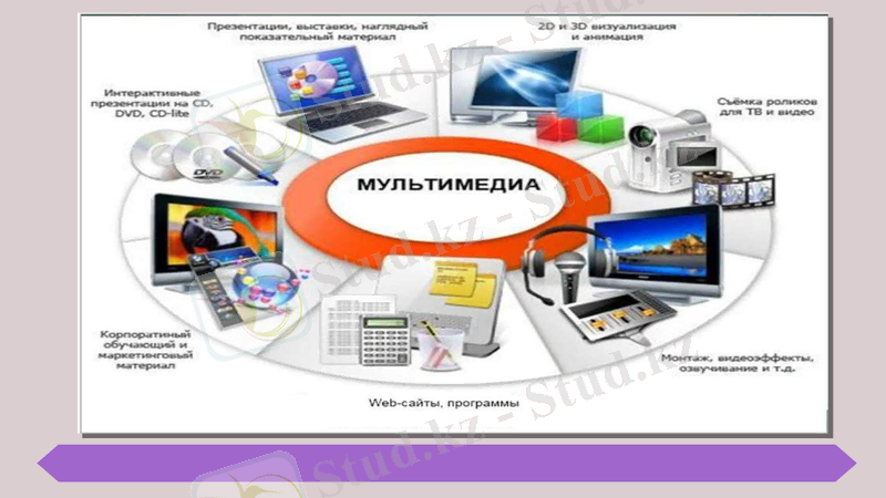 Slide 12