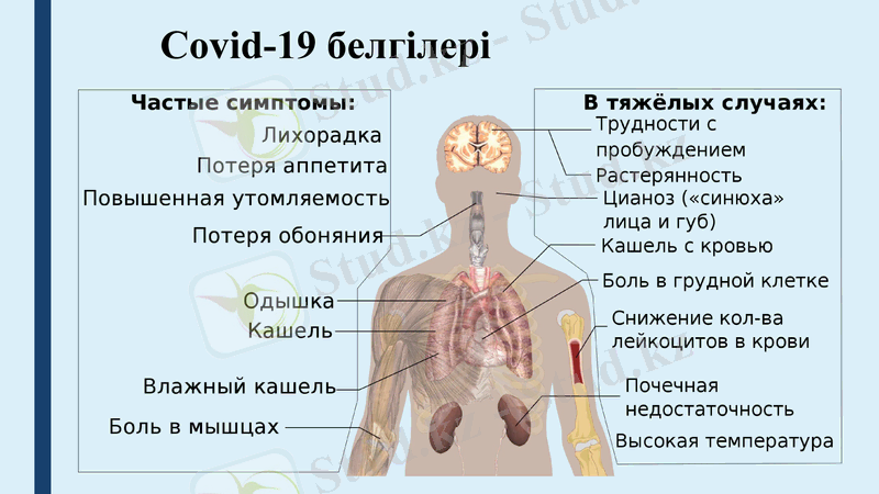 Slide 10