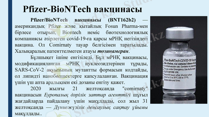 Slide 11