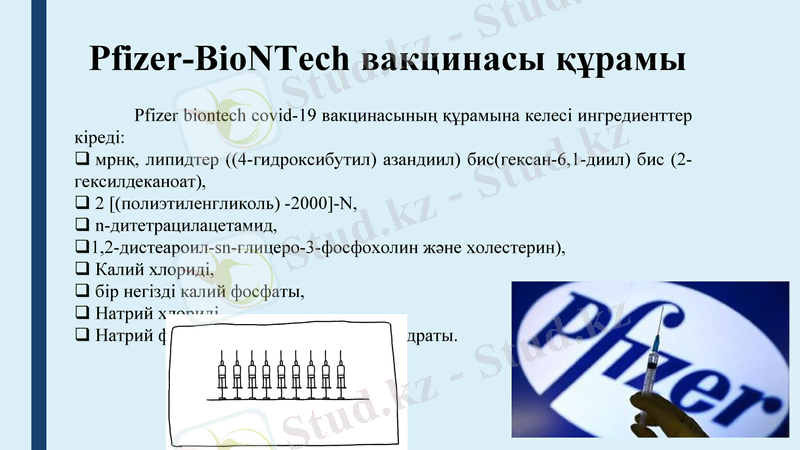 Slide 12
