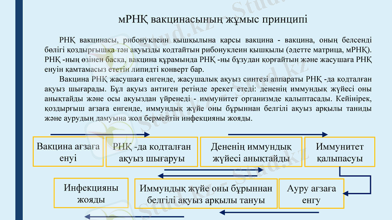 Slide 14