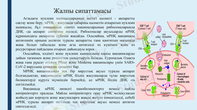 Slide 15