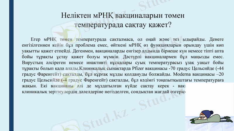 Slide 24
