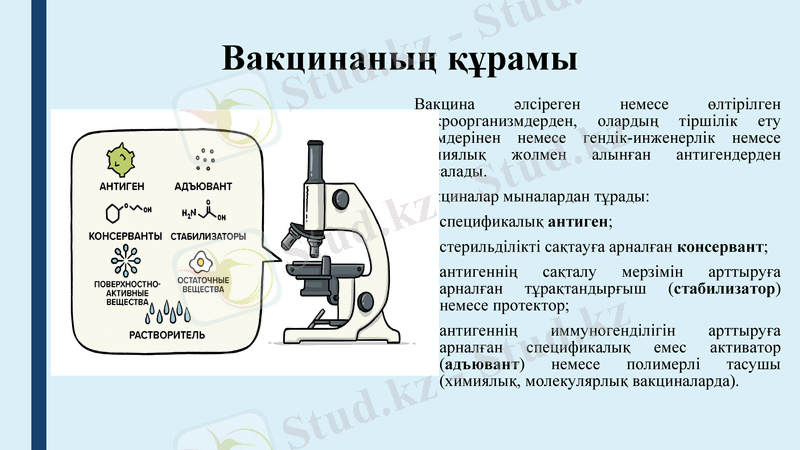 Slide 6