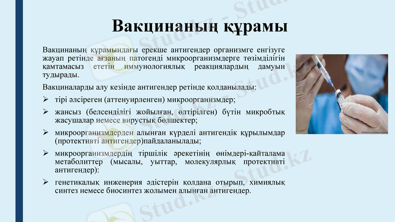 Slide 7