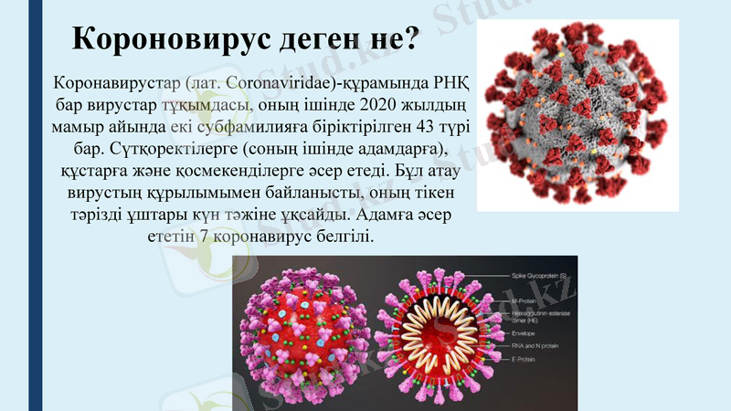 Slide 8