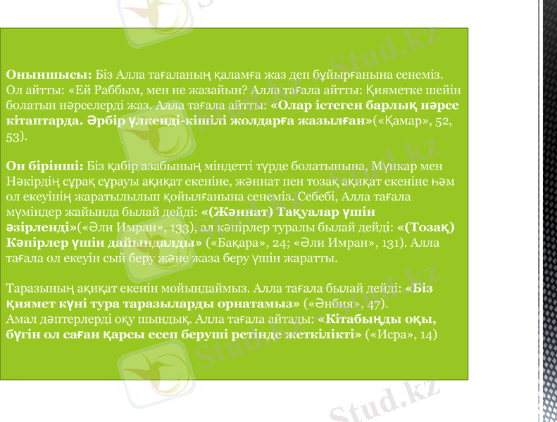 Slide 11