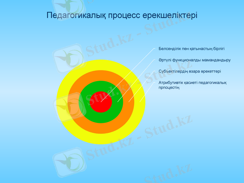 Slide 7