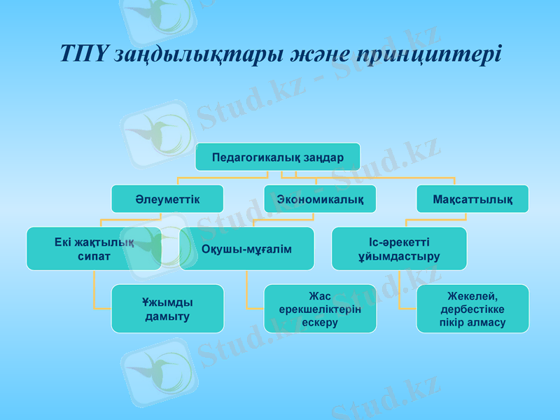 Slide 8