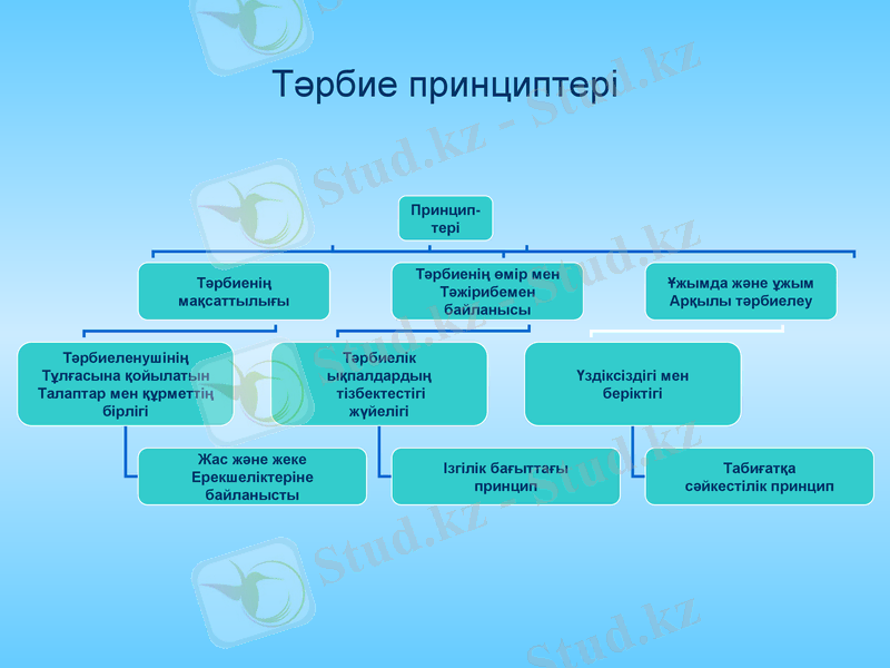Slide 9