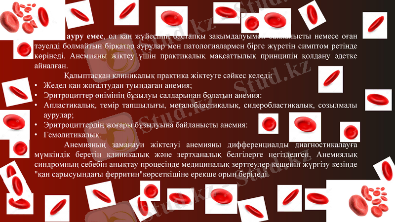 Slide 10
