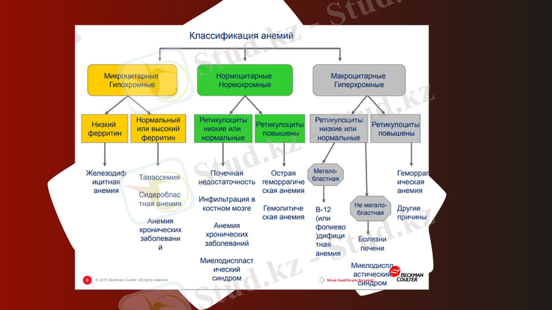 Slide 12