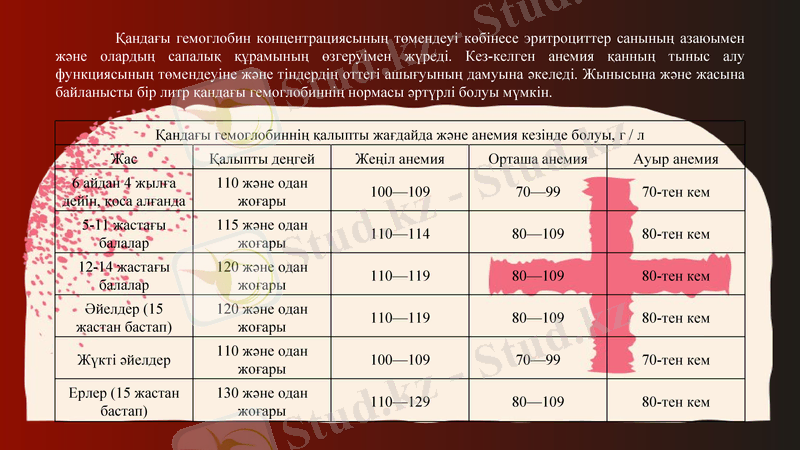 Slide 13