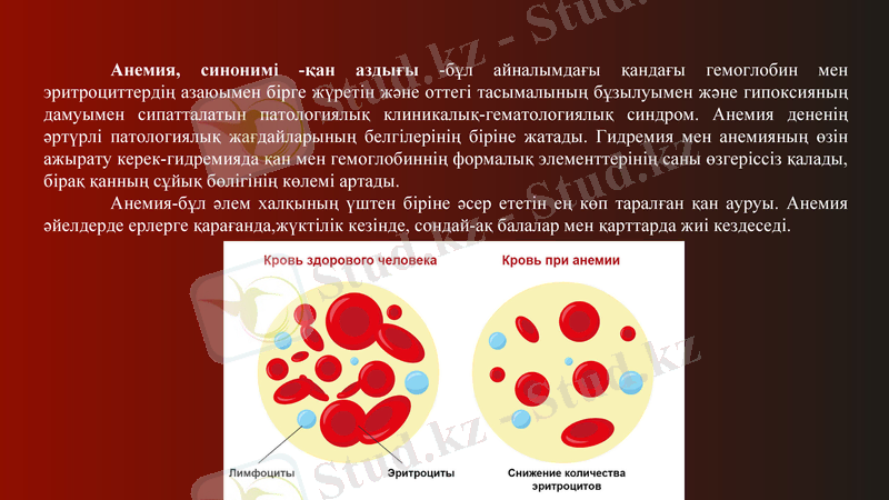 Slide 9