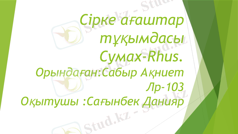 Slide 1