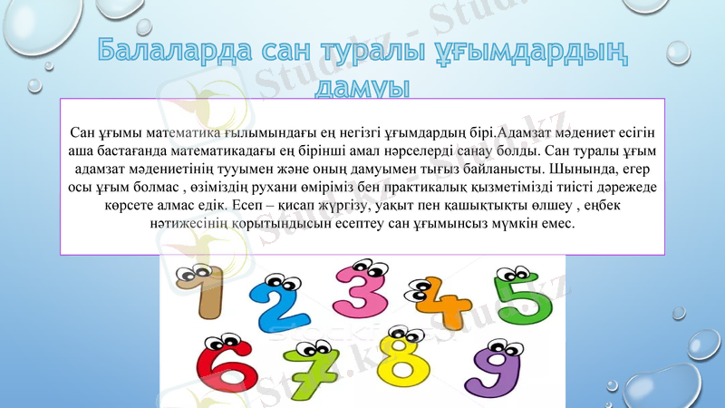 Slide 6