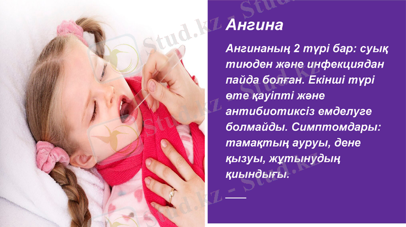 Slide 7