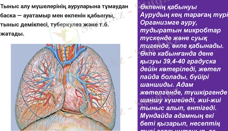 Slide 9