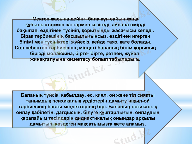 Slide 7