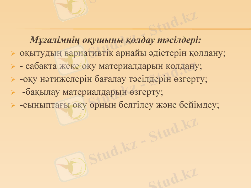 Slide 8