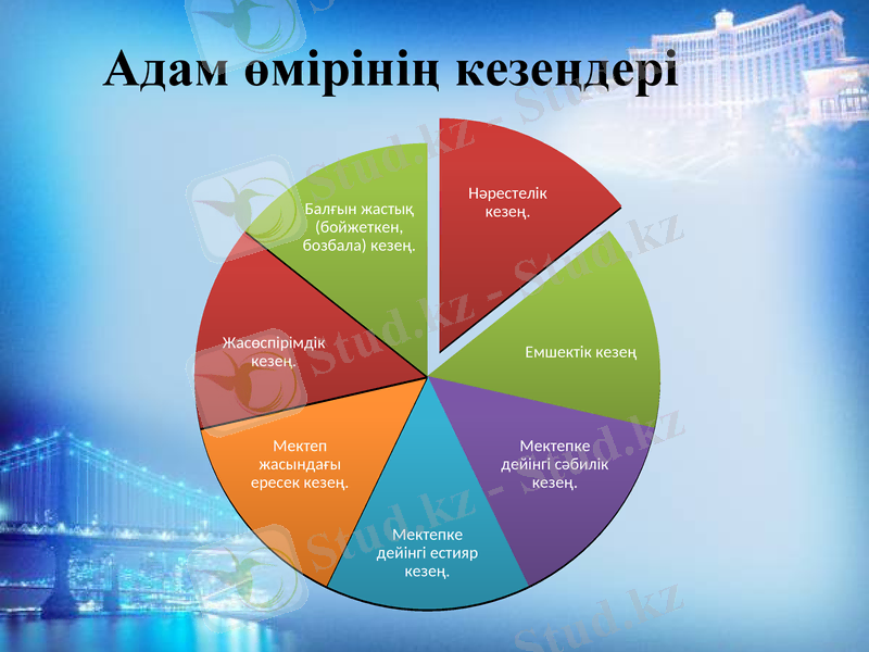 Slide 12