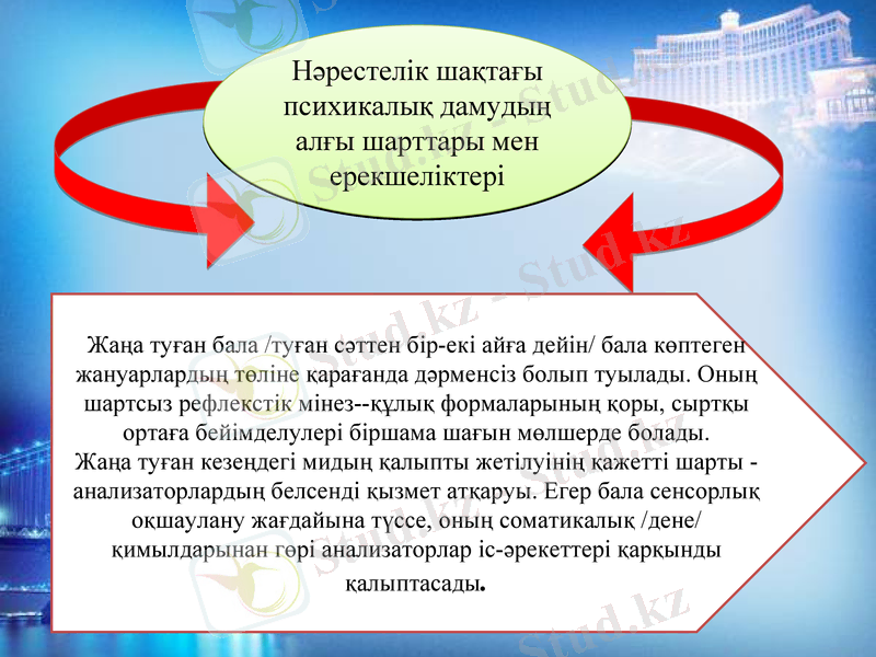 Slide 13