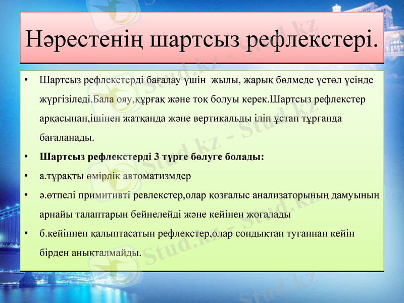 Slide 24