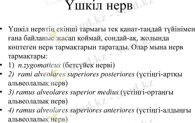 Slide 11