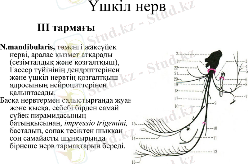Slide 12