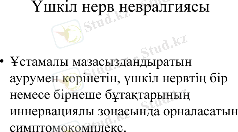 Slide 14