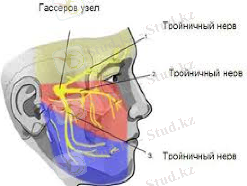 Slide 19