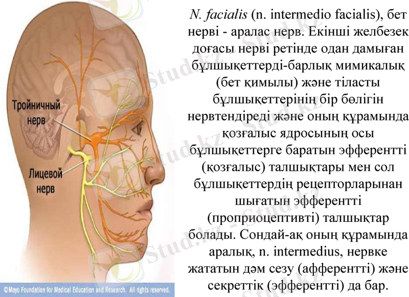 Slide 26