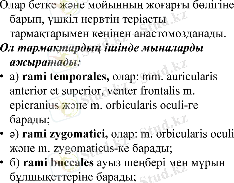 Slide 31