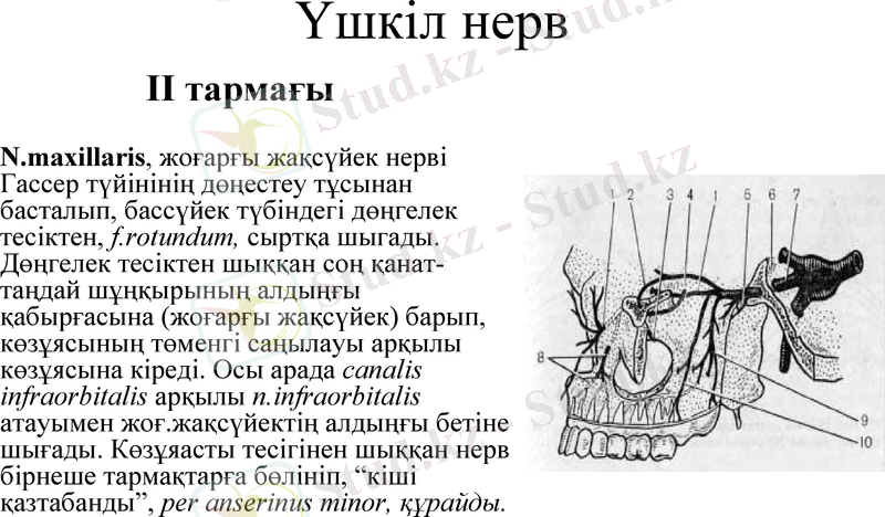 Slide 6