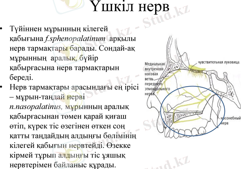 Slide 8