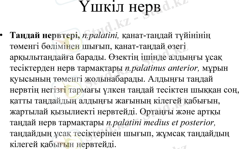 Slide 9