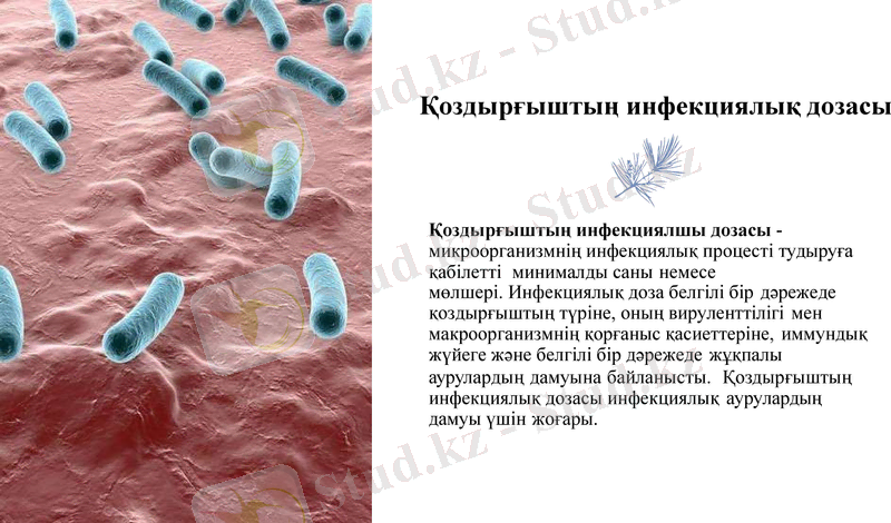 Slide 10