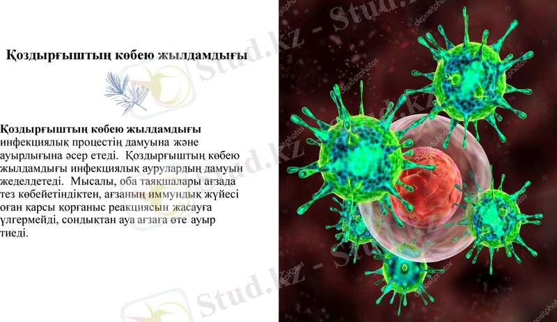 Slide 11