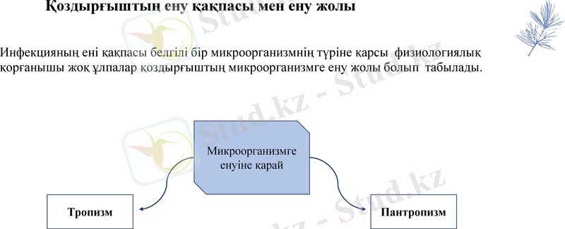 Slide 12