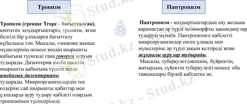 Slide 13