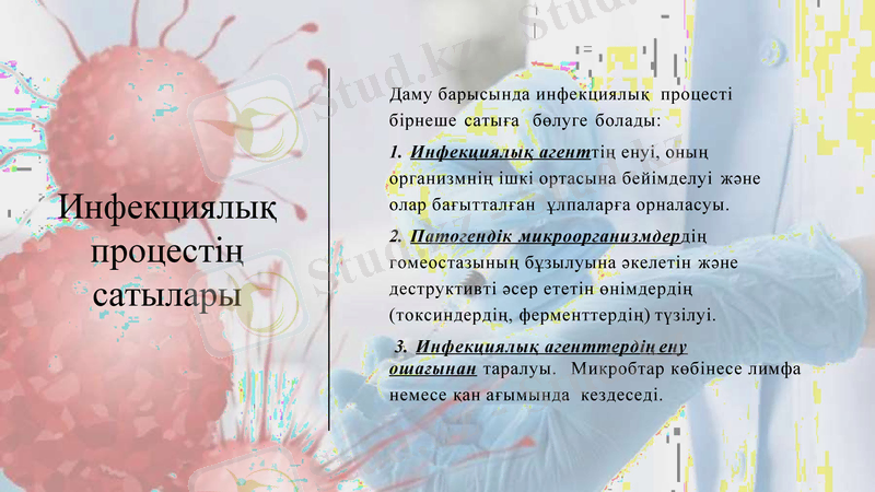 Slide 15