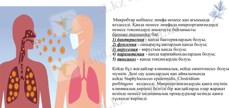 Slide 16