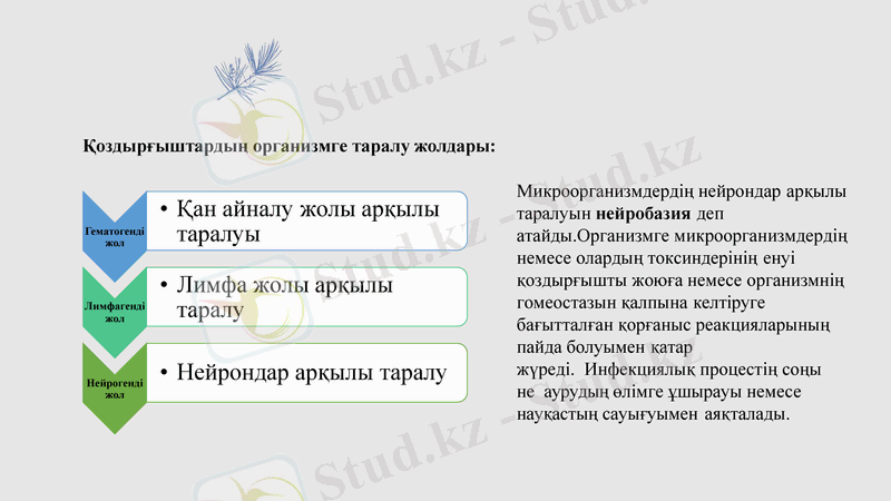 Slide 18