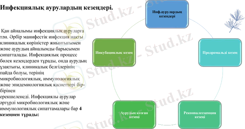 Slide 20