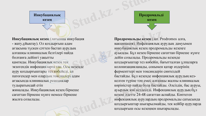 Slide 21